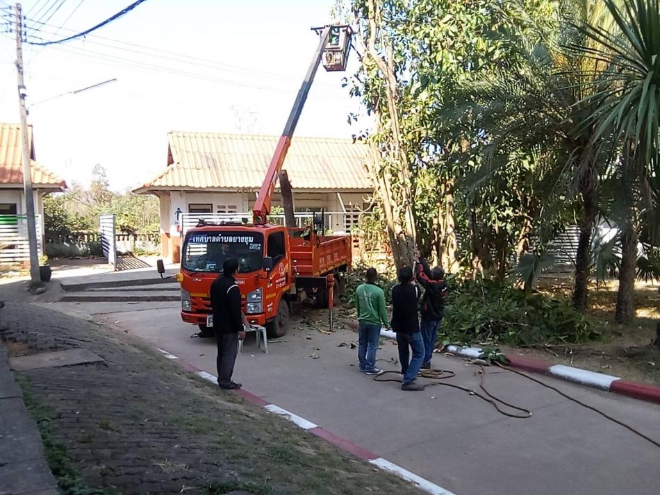 วันที่ 9 กุมภาพันธ์ 2569 นายสมควร ละแพงศรี นายกเทศมนตรีตำบลยางชุม มอบหมายให้ เจ้าหน้าที่กองช่าง ประจำรถกระเช้า ให้ลงพื้นที่อำนวยความสะดวกตัดต้นไม้ให้แก่สถานศึกษาโรงเรียนเชียงเพ็งวิทยา  