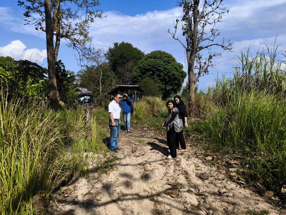 วันที่ 27 กุมภาพันธ์ 2569 นายสมควร ระเเพงศรี นายกเทศมนตรีตำบลยางชุม มอบหมายให้ นางสุดาภรณ์ ศรีหิรัญ  รองปลัดเทศบาล นายกฤตธนา หงษ์วงศ์ ผู้อำนวยการกองช่าง เเละเจ้าหน้าที่ที่เกี่ยวข้อง ลงพื้นที่สำรวจถนนระหว่างหมู่3 ไปบ้านน้อยนาสี เเละถนนระหว่างคลองชลประทานไปยังห้วยขมปูนที่มีลักษณะชำรุดเเละมีสภาพเป็นดินทราย ส่งผมให้ผู้ใช้ถนนไม่ได้รับความสะดวกในการสัญจร 