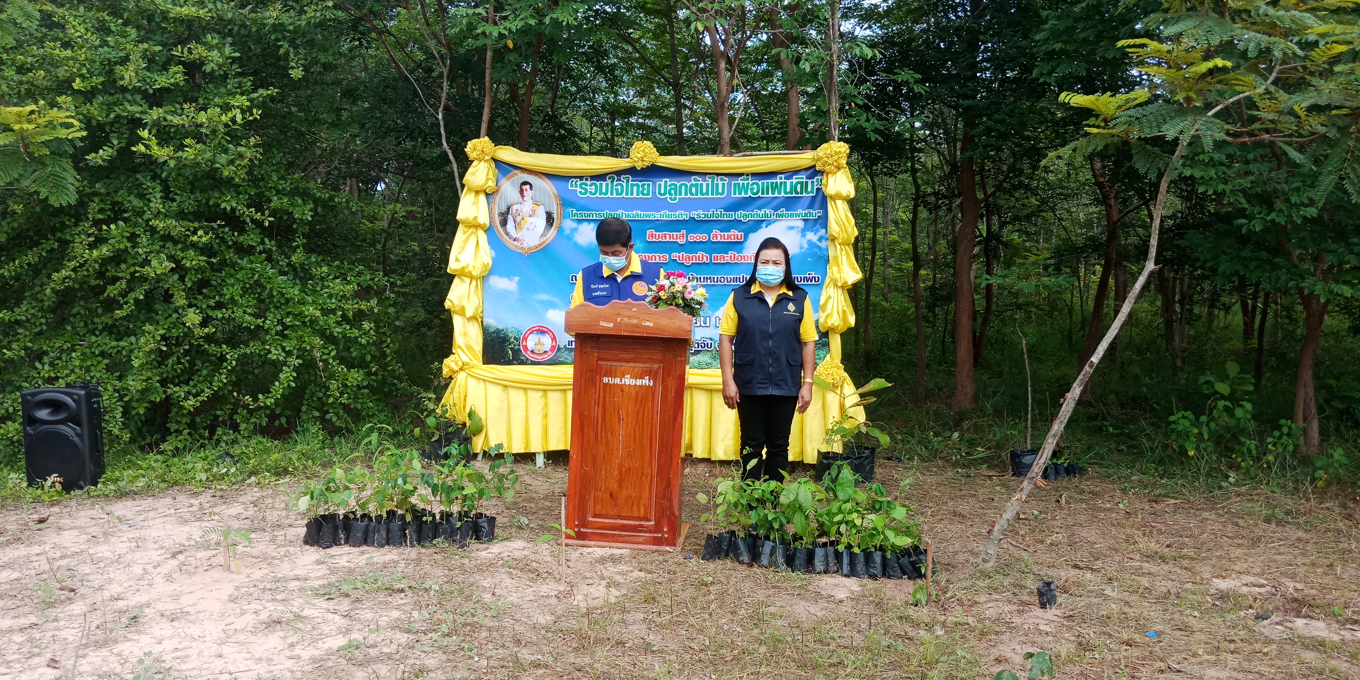 โครงการปลูกป่าเฉลิมพระเกียรติ “ร่วมใจไทย ปลูกต้นไม้ เพื่อแผ่นดิน” สืบสานสู่ 100 ล้านต้น 